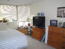 Spacious 1 Bedroom Condo Apartment - Photo 5