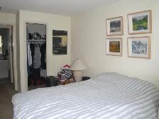 Spacious 1 Bedroom Condo Apartment - Photo 6