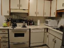 Spacious 1 Bedroom Condo Apartment - Photo 8