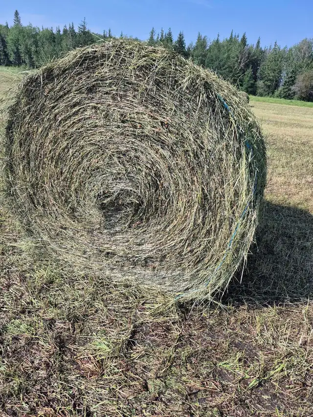 hay bales
