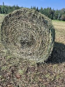 hay bales