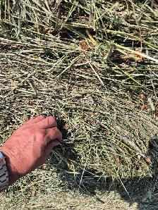 hay bales - Photo 2