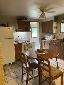 Duplex à Saint-Pierre-de-Wakefield - Photo 14
