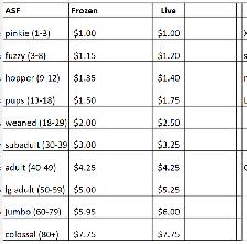 Reptile Feeders - Photo 3