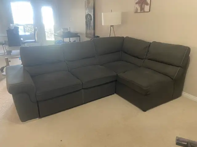 Grey Sectional Sofa with Pull-Out Bed