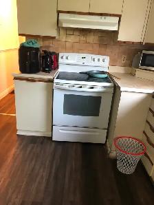 Main Floor Unit 4 Rooms Bungalow House in Scarborough for Rent - Photo 3