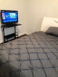 Main Floor Unit 4 Rooms Bungalow House in Scarborough for Rent - Photo 8