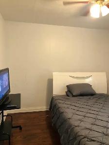 Main Floor Unit 4 Rooms Bungalow House in Scarborough for Rent - Photo 11