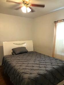 Main Floor Unit 4 Rooms Bungalow House in Scarborough for Rent - Photo 12