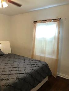 Main Floor Unit 4 Rooms Bungalow House in Scarborough for Rent - Photo 13