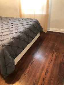 Main Floor Unit 4 Rooms Bungalow House in Scarborough for Rent - Photo 14