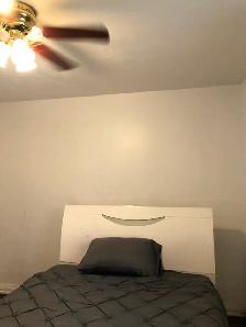 Main Floor Unit 4 Rooms Bungalow House in Scarborough for Rent - Photo 15