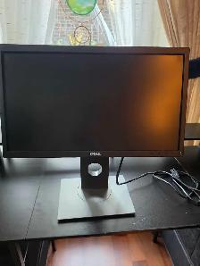 Dell Monitor 21'