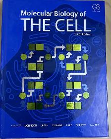 Molecular Biology of the Cell
