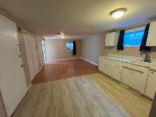Bright, spacious 720 sq ft one-bedroom apartment – Sept. 1st - Photo 2