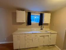 Bright, spacious 720 sq ft one-bedroom apartment – Sept. 1st - Photo 3