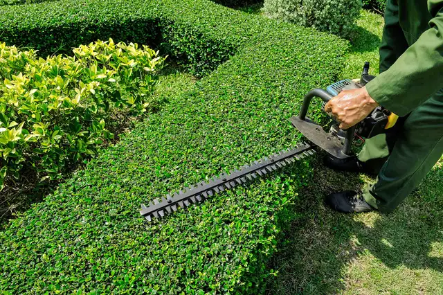 lawn care