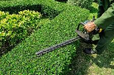 lawn care