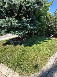 lawn care - Photo 2