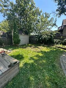 lawn care - Photo 3