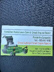 lawn care - Photo 4