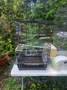 vente samedi et dimanche laval oiseaux et cages - Photo 9