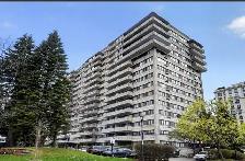 Condo 3 1/2 a louer