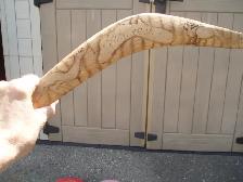 BOOMERANG  - AUSTRALIA - Photo 2