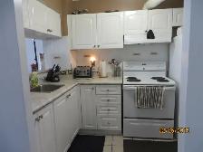2 BEDROOM 2 BATHROOM CONDO PENTHOUSE @ UTSC - Photo 5