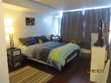 2 BEDROOM 2 BATHROOM CONDO PENTHOUSE @ UTSC - Photo 8