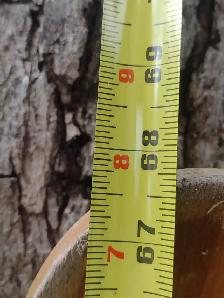 Vintage wood 68' Aqua Rite Waterski S2000 Standard - Photo 2
