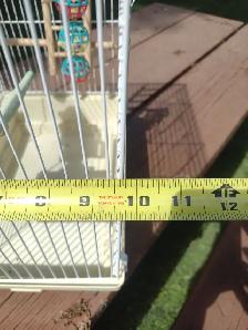 Bird cage - Photo 2