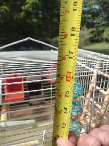 Bird cage - Photo 3
