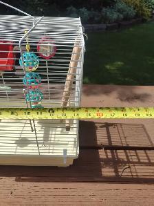 Bird cage - Photo 4