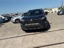 2019 TOYOTA RAV4 XLE AWD PKG | DRIVE ASSIST | PHENOMENAL SHAPE - Photo 3