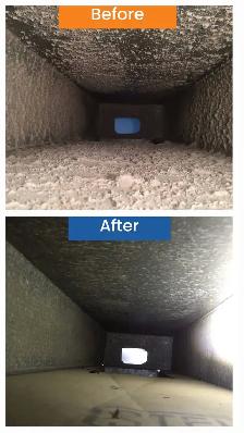 SAY NOT TO DUST:) 647-559-6568 - Photo 2