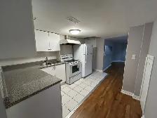 Walkout basement - 2 bedroom for rent in a nice community. - Photo 5
