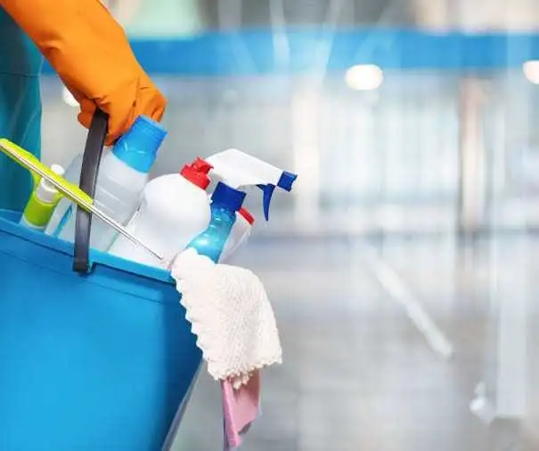 Home Cleaner