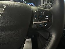 2024 Ford Bronco Sport Outer Banks - 4WD/36KM/SADDLE LEATHER/TEC - Photo 23