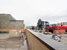 BEAUTIFUL DOWNTOWN PENTICTON SHARED APT $900/ROOM - 2 ROOMS LEFT - Photo 7