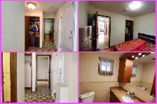 1 Bed & 1 Bath Walkout Basement for Rent in Scarborough, Toronto - Photo 4