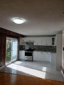 1 Bed & 1 Bath Walkout Basement for Rent in Scarborough, Toronto - Photo 8
