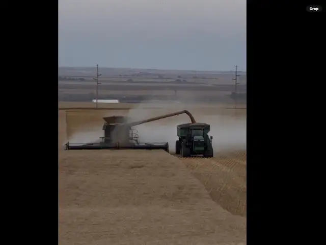 Harvest help