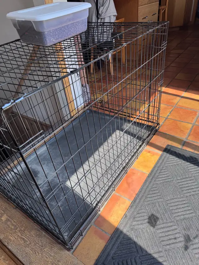 Cage pour chien