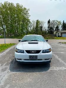 2004 Mustang Gt with 10500km - Photo 6