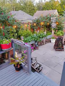 house for sale - Photo 4