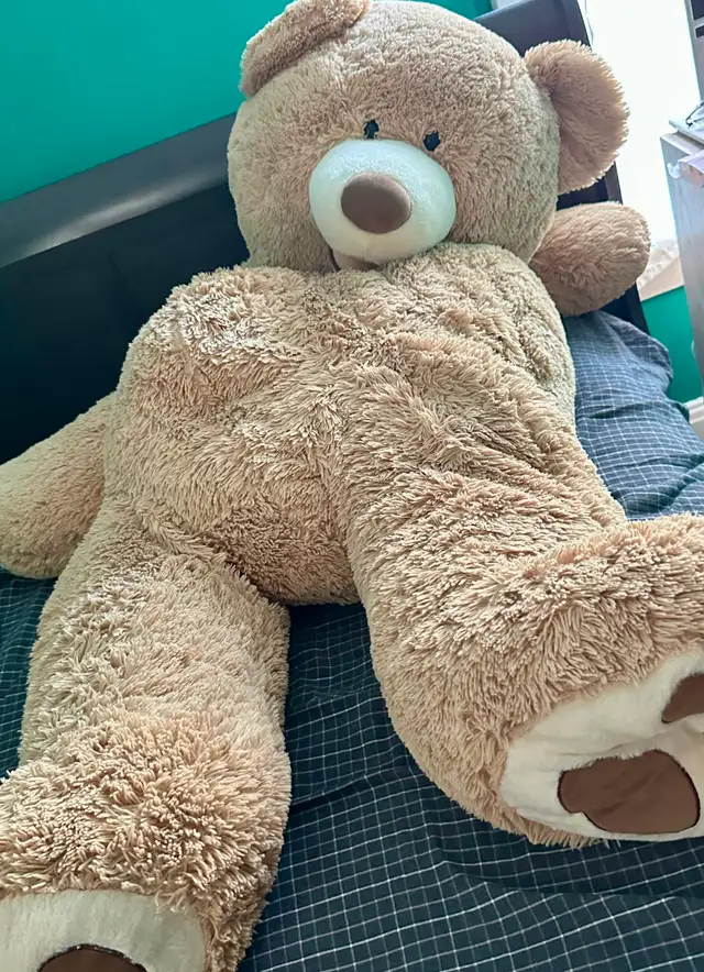 Teddy bear toy