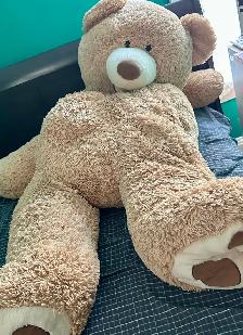 Teddy bear toy
