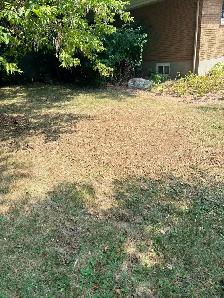 Stump Grinding - Photo 2