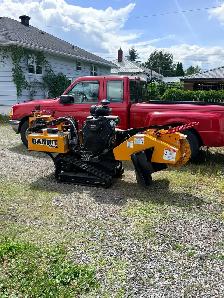 Stump Grinding - Photo 3